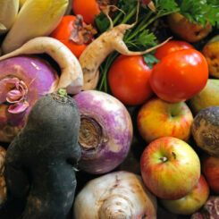 Raw Food - Photo Vincent Tulli