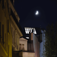 Paris Moon - Photo Vincent Tulli