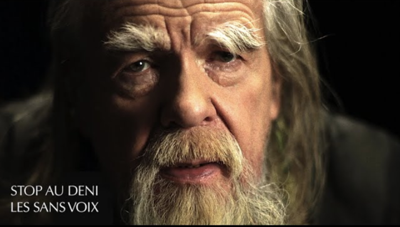 Teaser Stop Au Deni - Les sans voix - Vincent Tulli