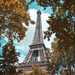 Effeil Tower - Photo Vincent Tulli